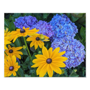 Foto Susanne de ojos negros y Hortensia Azul Floral