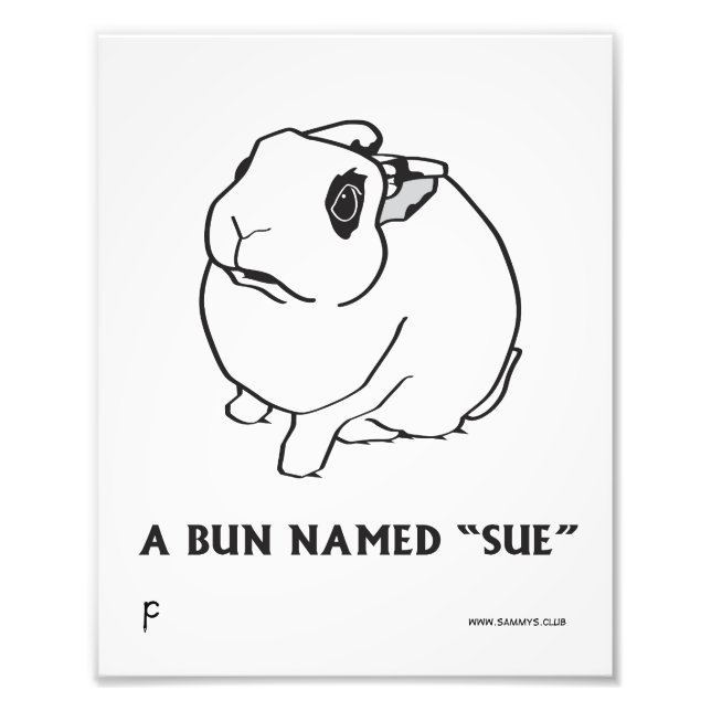 FOTO SUSPENDER (Frente)