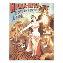 Susurros de Nouma Hawa a los tigres