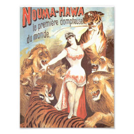 Foto Susurros de Nouma Hawa a los tigres