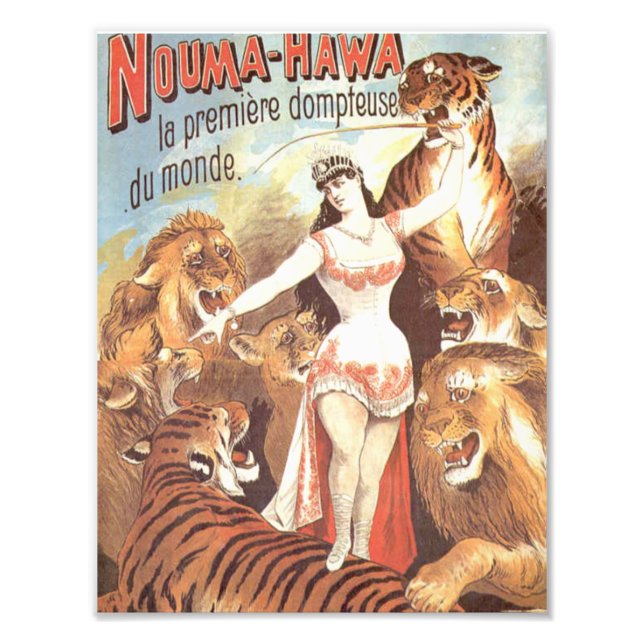 Foto Susurros de Nouma Hawa a los tigres (Frente)