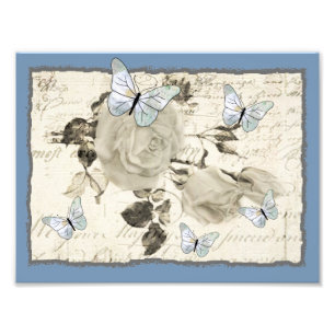 Foto SW rosa y mariposas