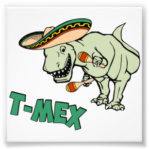 Foto T-Mex T-Rex Tyrannosaurus Dinosaur