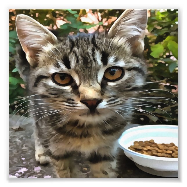 Foto Tabby Cat Kitten Haciendo Contacto Ocular (Frente)