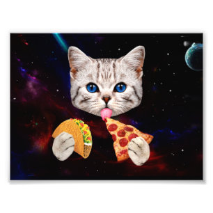 Foto Taco, gato y pizza