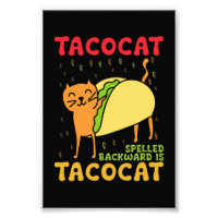 Tacocat deletreado al revés Tacos Gatos Cinco De M