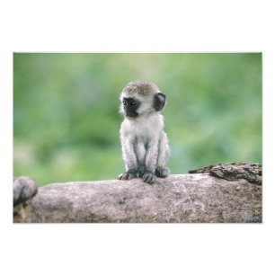 Foto Tanzania, cráter de Ngorogoro. Primer plano de vid