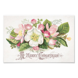 Foto Tarjeta de Navidad Vintage Retro, Flores de Manzan