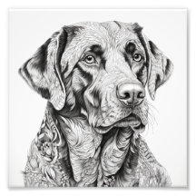 Tarjeta de regalo de Labrador