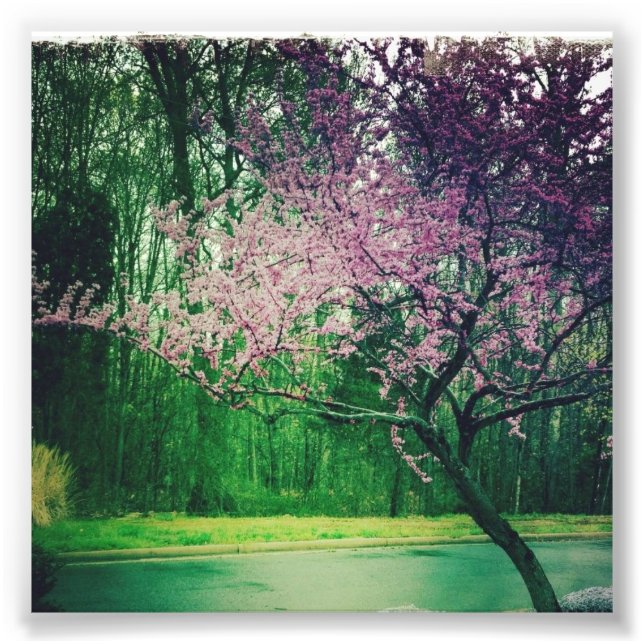 Foto tarjeta de saludo (Frente)