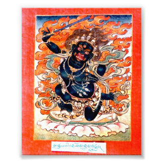 Foto Tarjeta fotográfica Arya Acala