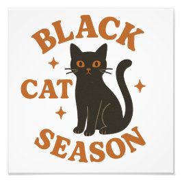 Foto Temporada de gatos negros