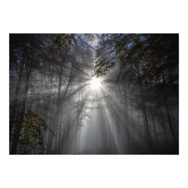 Foto Temporada de silencio (Frente)