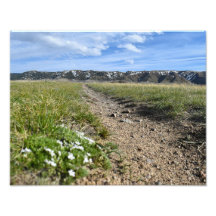 Temporadas de Montaña de Casper - Flox de Primaver