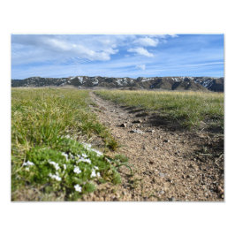 Foto Temporadas de Montaña de Casper - Flox de Primaver