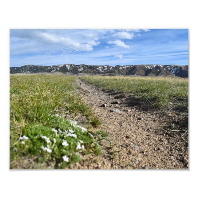 Foto Temporadas de Montaña de Casper - Flox de Primaver (Frente)