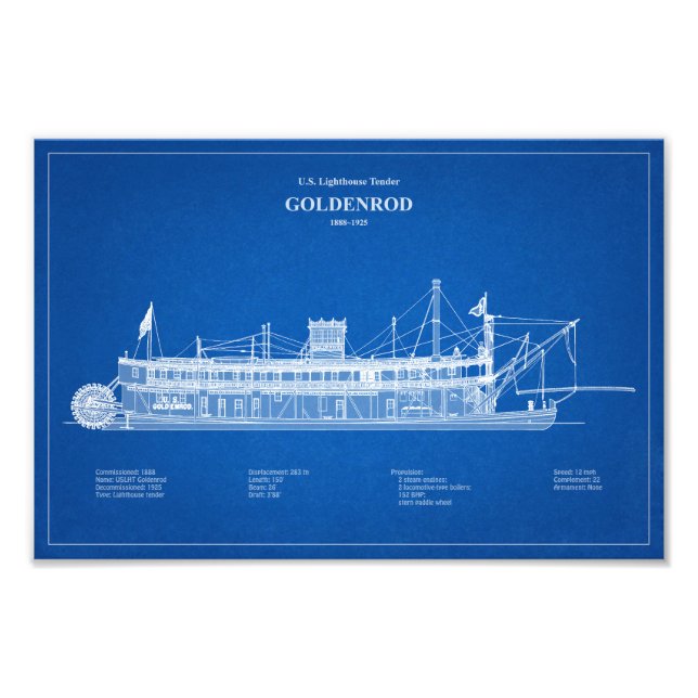 Foto Tender Goldenrod - ABD (Frente)