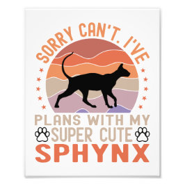 Foto Tengo planes con mi gato Sphynx