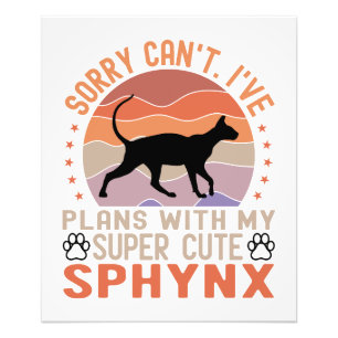 Foto Tengo planes con mi gato Sphynx