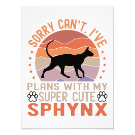 Foto Tengo planes con mi gato Sphynx