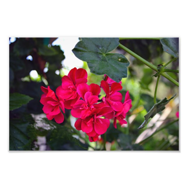 Foto Terraza de la ciudad (Frente)