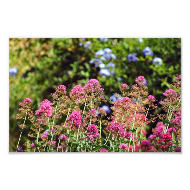 Foto Terraza de la ciudad (Frente)