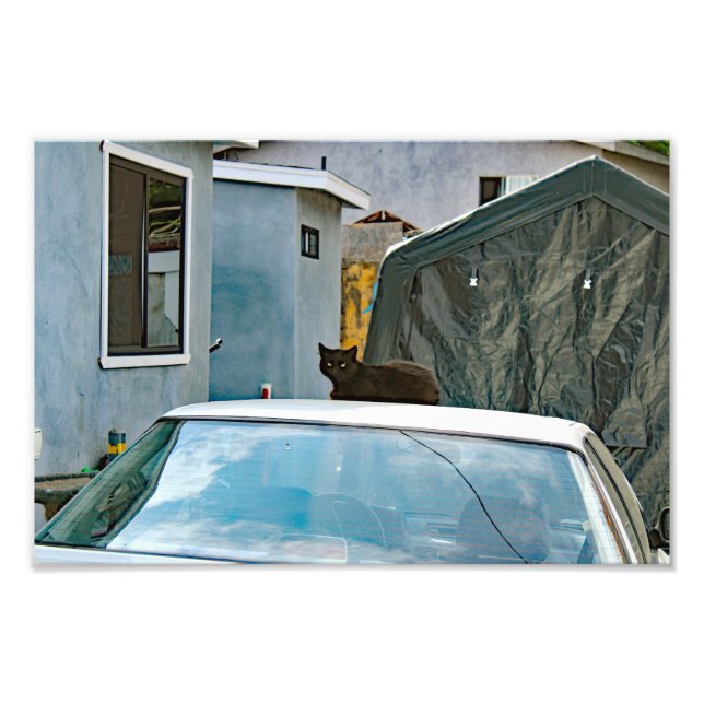 Foto Terraza de la ciudad (Frente)