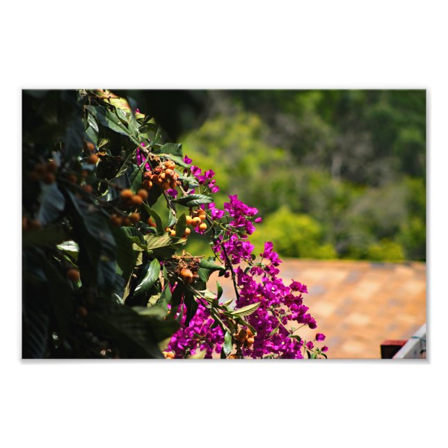 Foto Terraza de la ciudad (Frente)