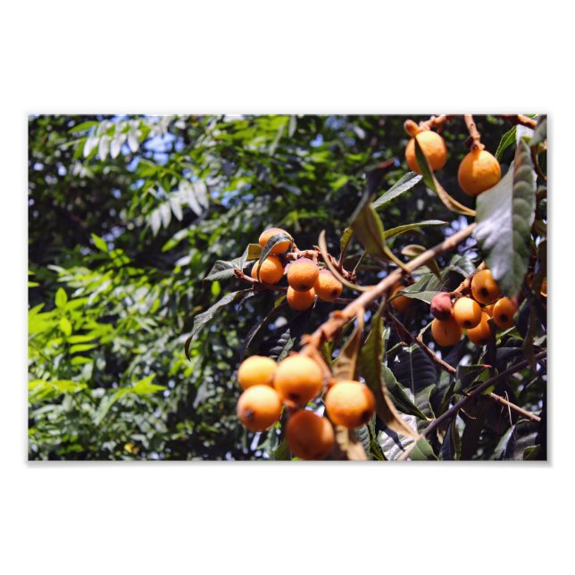 Foto Terraza de la ciudad (Frente)