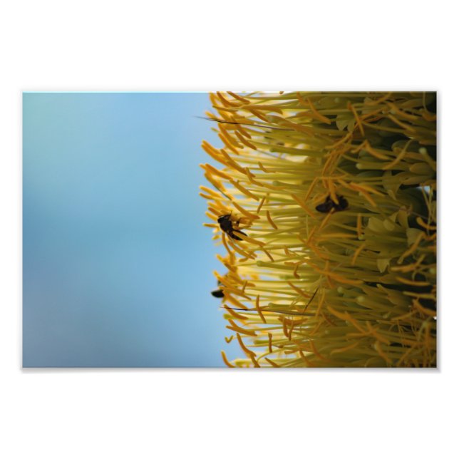 Foto Terraza de la ciudad (Frente)