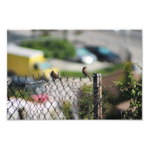Foto Terraza de la ciudad