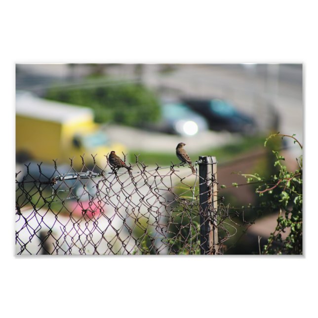 Foto Terraza de la ciudad (Frente)