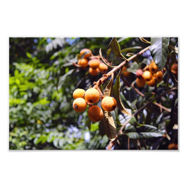 Foto Terraza de la ciudad (Frente)