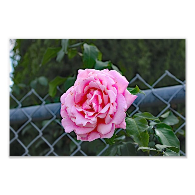 Foto Terraza de la ciudad (Frente)