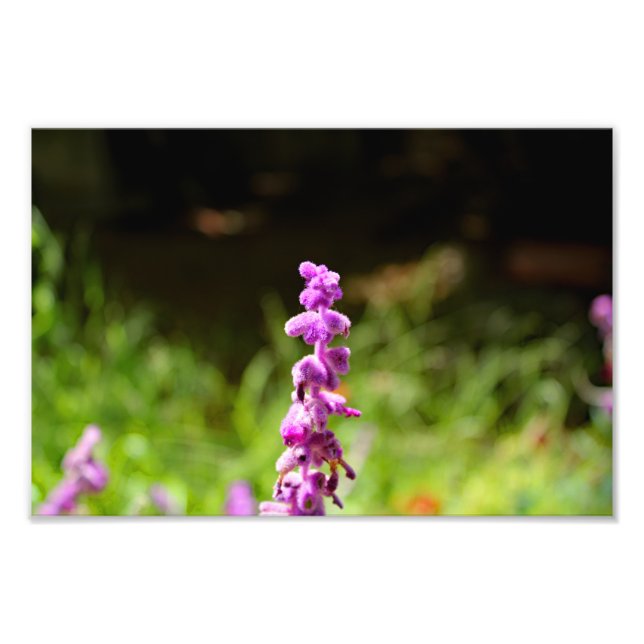 Foto Terraza de la ciudad (Frente)