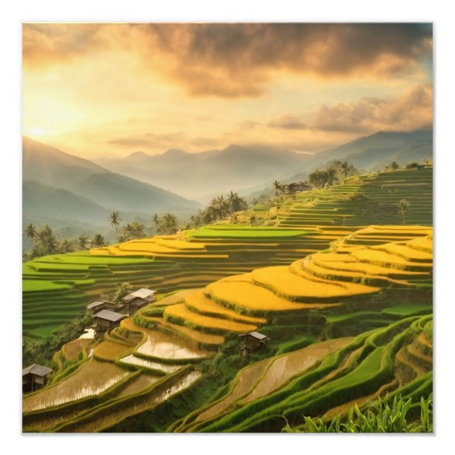 Foto Terrazas de arroz Sunrise (Frente)