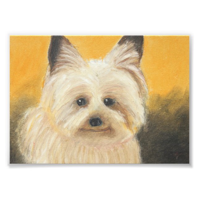Foto Terrier (Frente)