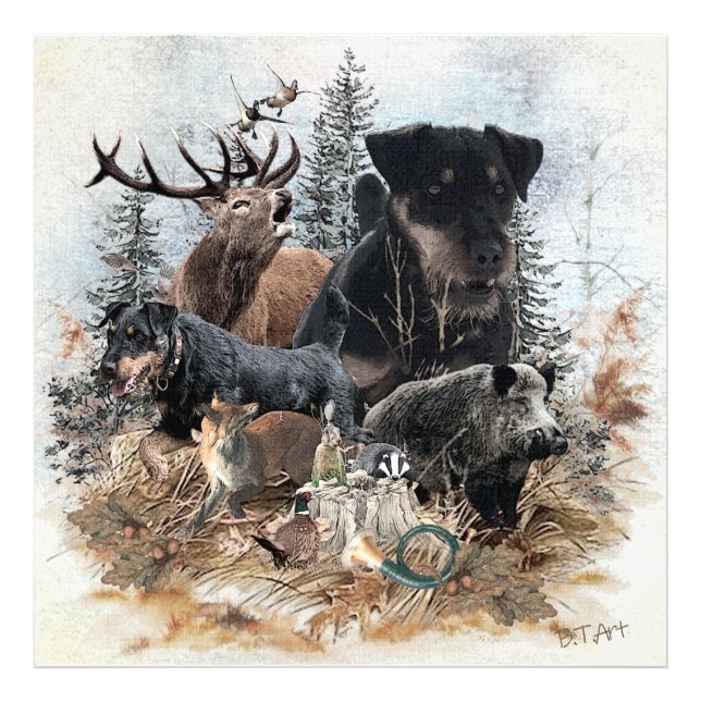 Foto Terrier de caza alemán (Jagdterrier) (Frente)