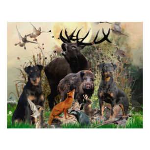 Foto Terrier de caza alemán (Jagdterrier)