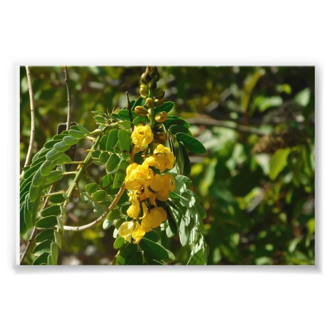 Foto Tesoros Florales (Frente)