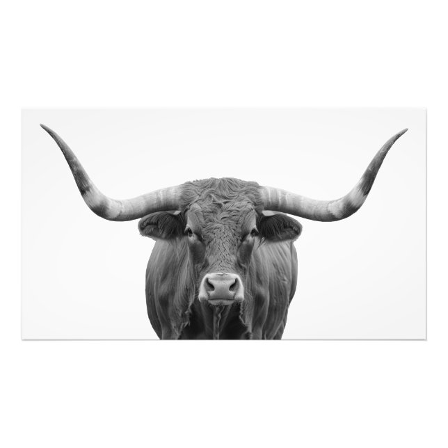 Foto Texas Longhorn Bull Black White (Frente)