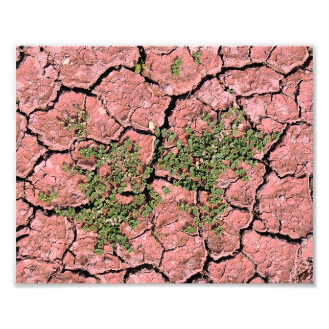 Foto Textura de Guay de la Tierra rota (Frente)