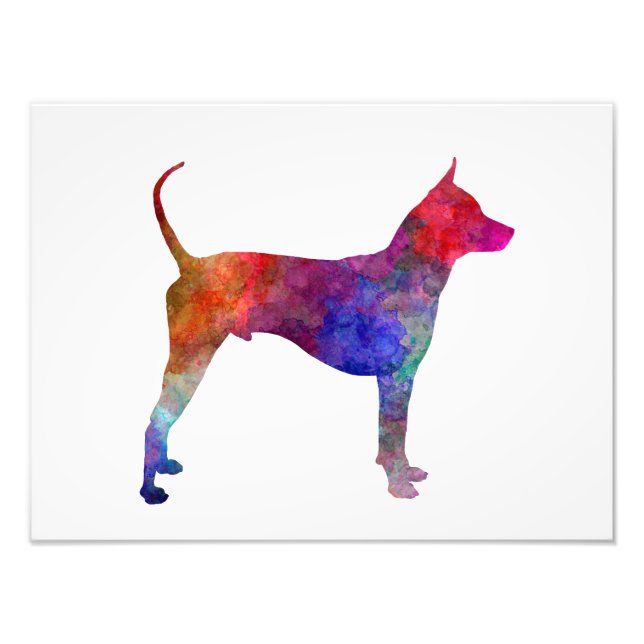 Foto Thai Ridgeback Dog in watercolor (Frente)