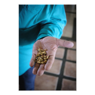 Foto The Hand That Guides