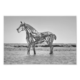 Foto The Lifeboat Horse, Wells-next-the-Sea 