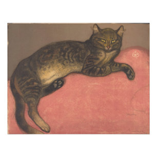 Foto Théophile Steinlen   Invierno: Gato en un colchón