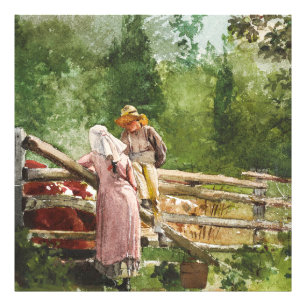 Foto Tiempo de alimentación