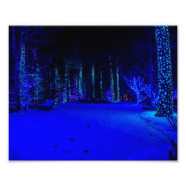 Foto Tiempo de Navidad Maravilloso 8 x 10 Kodak Pro Pri