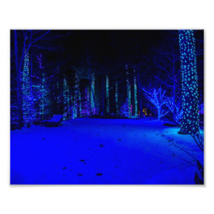 Foto Tiempo de Navidad Maravilloso 8 x 10 Kodak Pro Pri