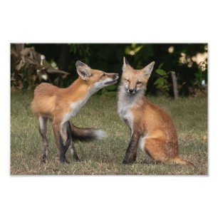 Foto ¿Tienes Una Moneda?